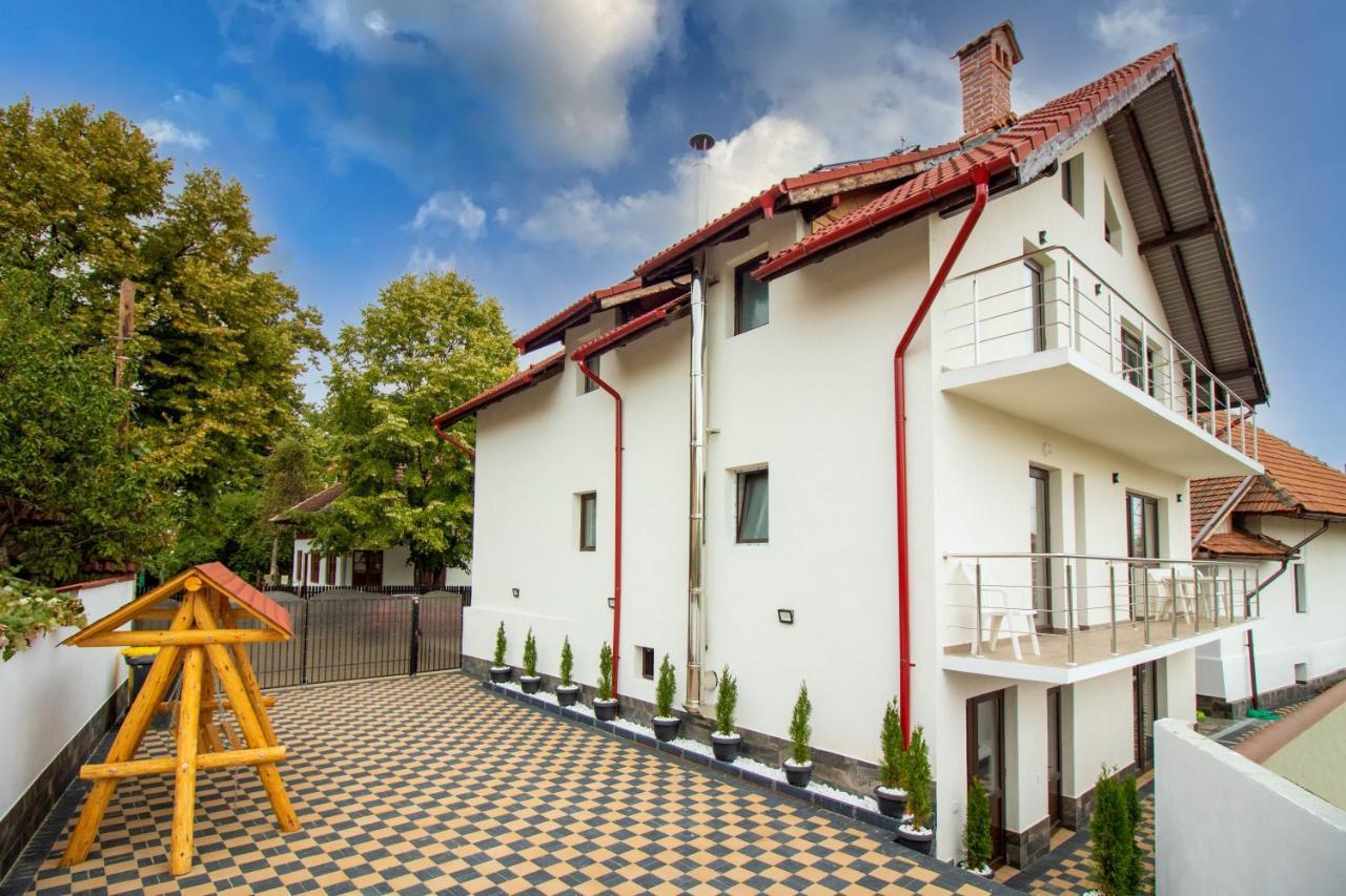 Готель Pensiunea D & Ylan Новачі-Страіні Екстер'єр фото